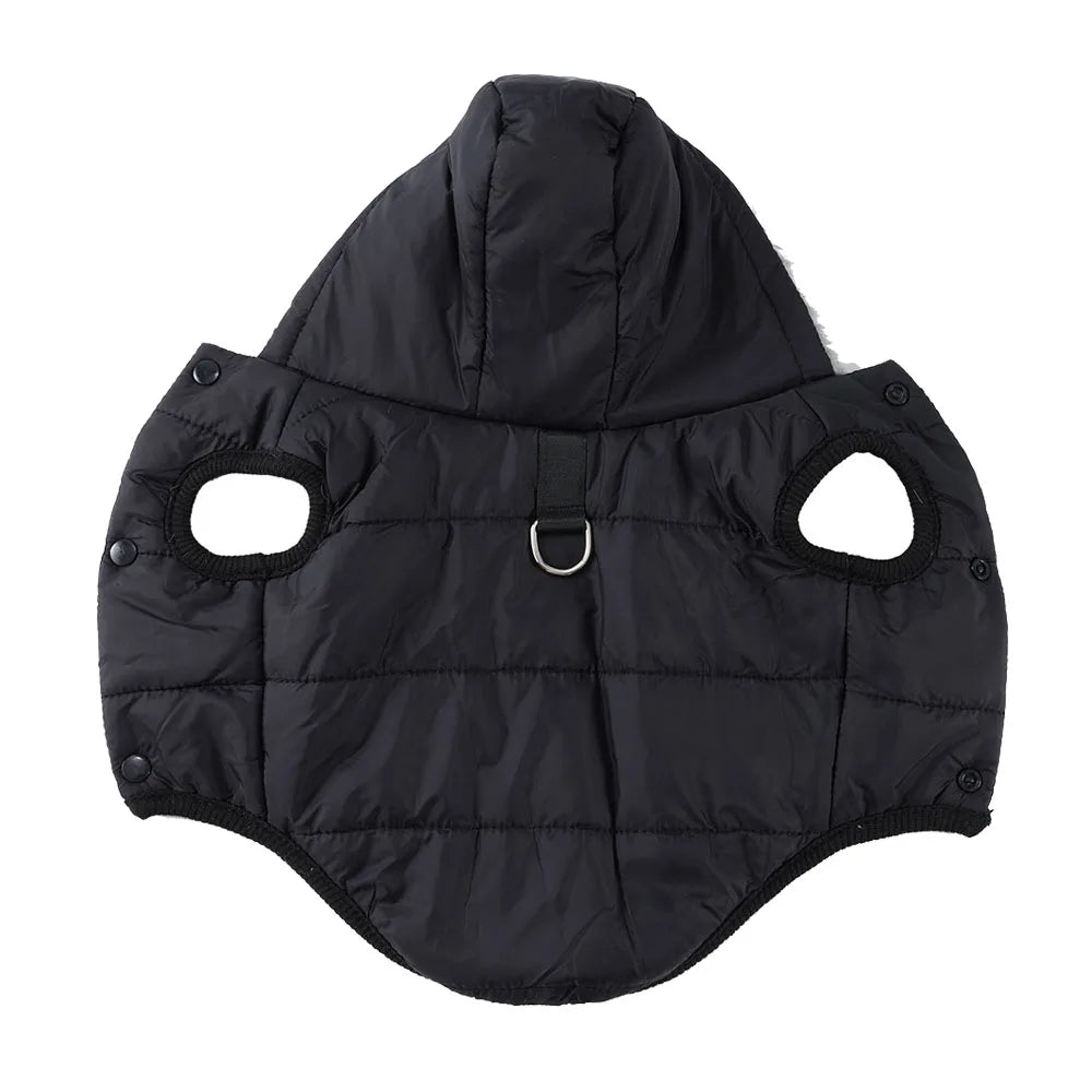 Pet hooded coat windproof outer layer detail