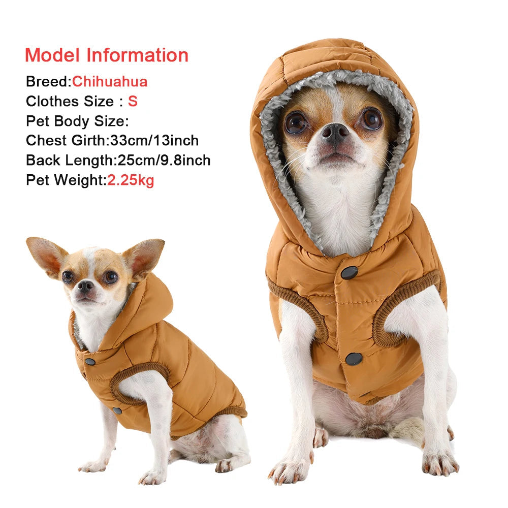 Small dog wearing hooded fleece winter jacket