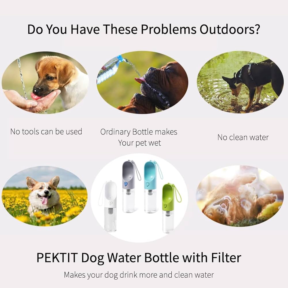 Portable Pet Water Bottle
