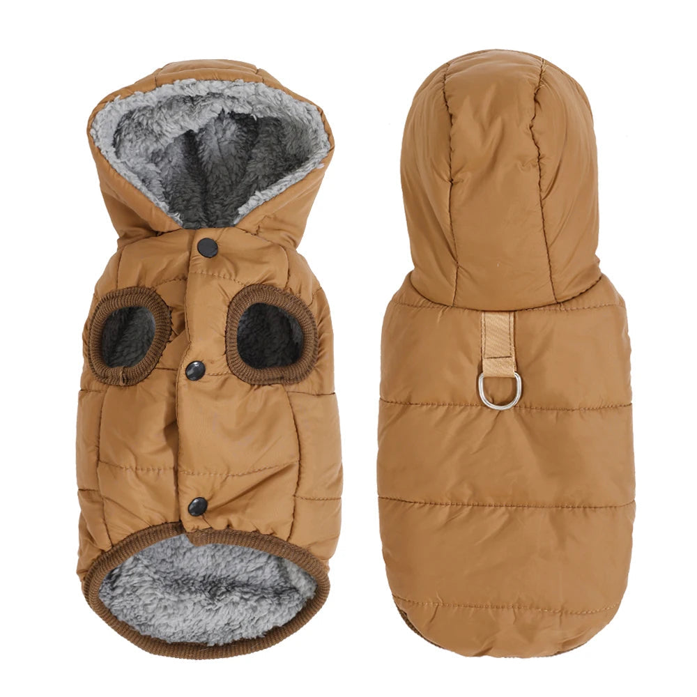 Pet jacket with built-in D-ring leash attachment close-up